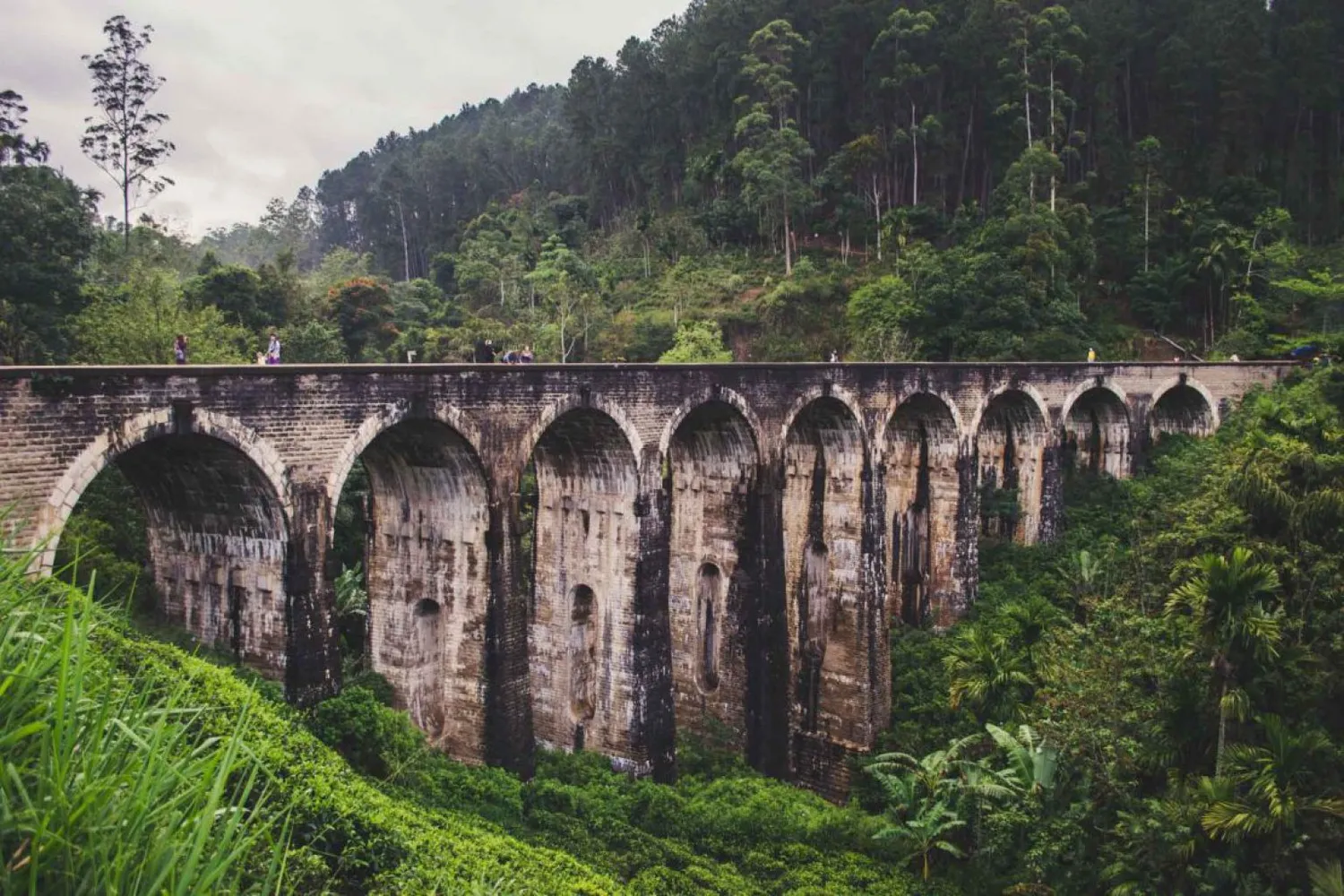 2-х дневный тур по Шри-Ланке: Нувара Элия, Элла, поездка на поезде (2/13)