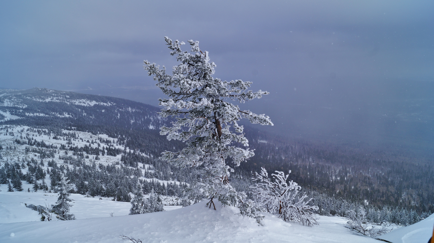 На Лыжах по Уралу (2/31)