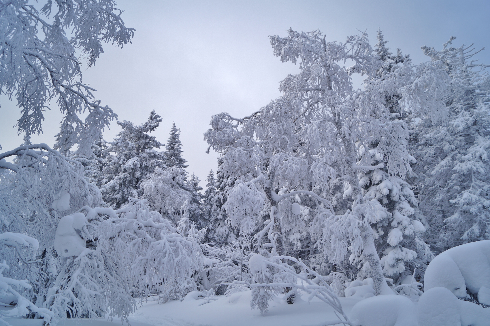 На Лыжах по Уралу (14/31)