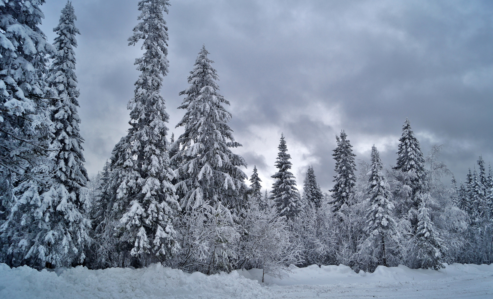На Лыжах по Уралу (10/31)
