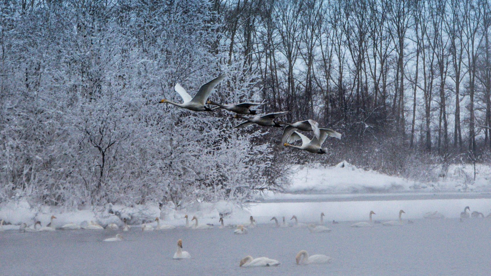 Зимняя Сказка Индивидуальный тур