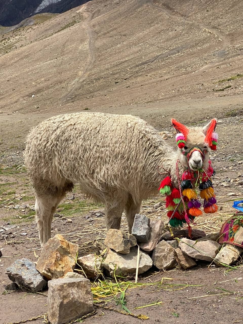 Перу Ван Лав! Экспедиция по местам силы! (8/38)