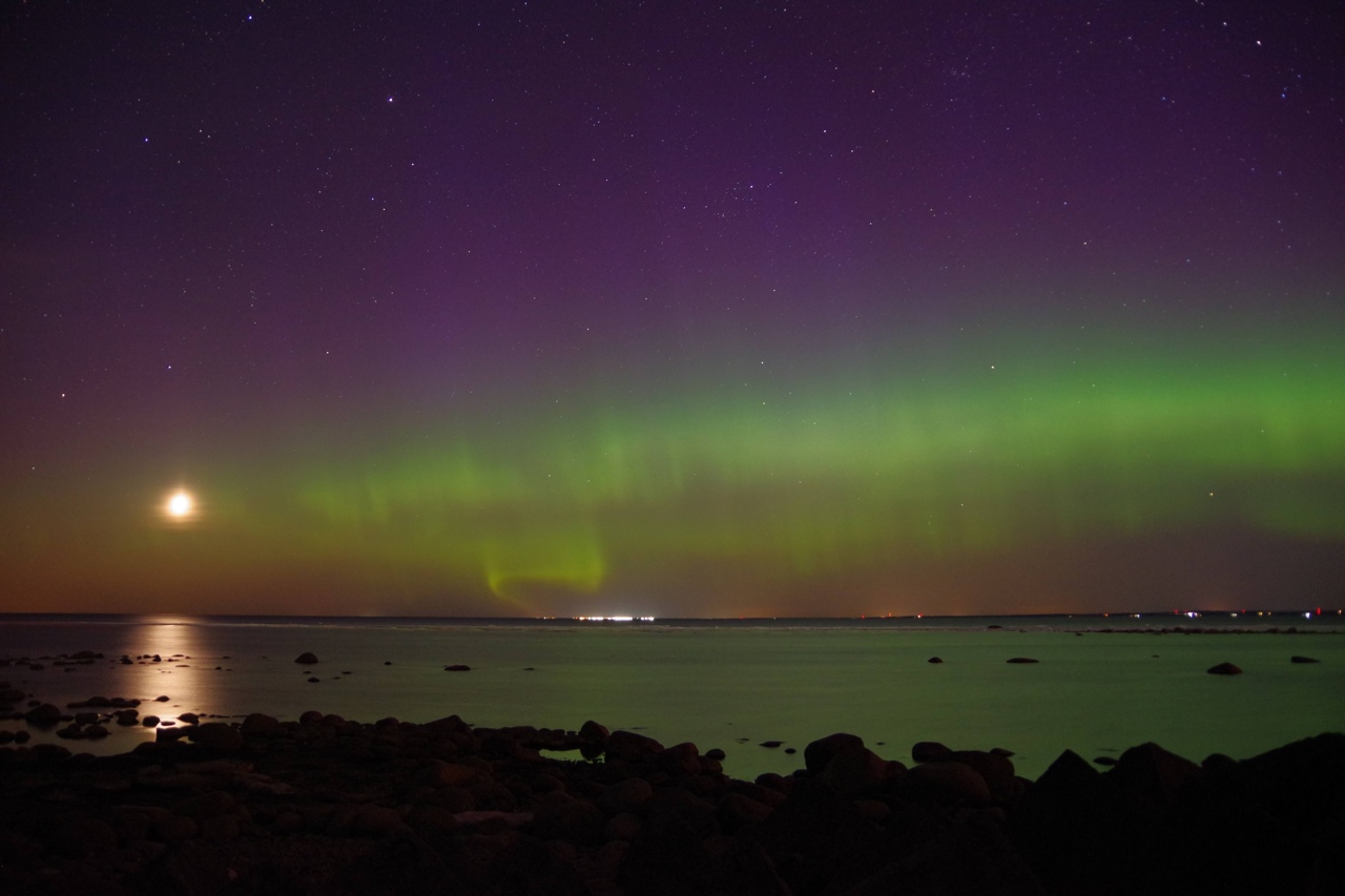 Гастротур. Арктическое изобилие. (3/16)