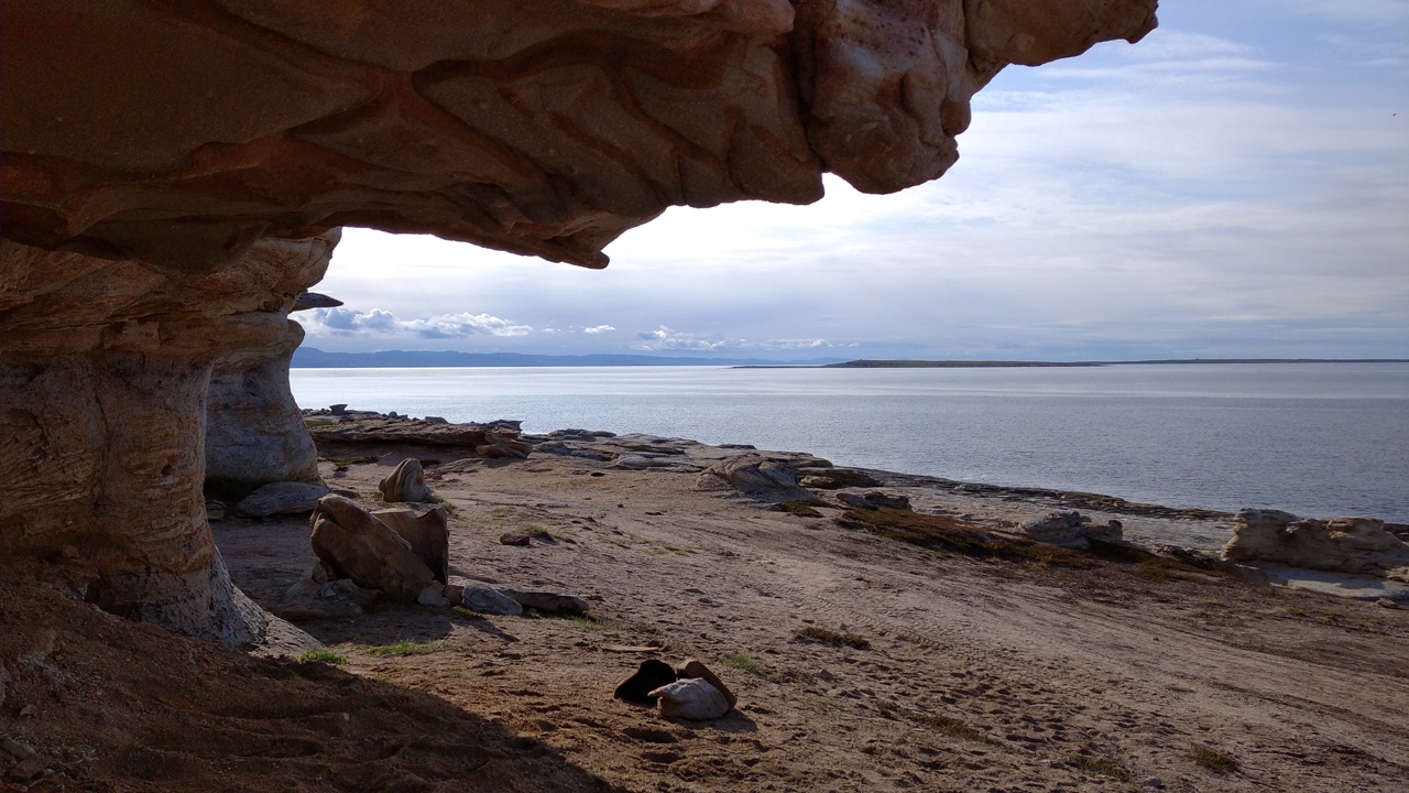 Гастротур. Арктическое изобилие. (4/16)