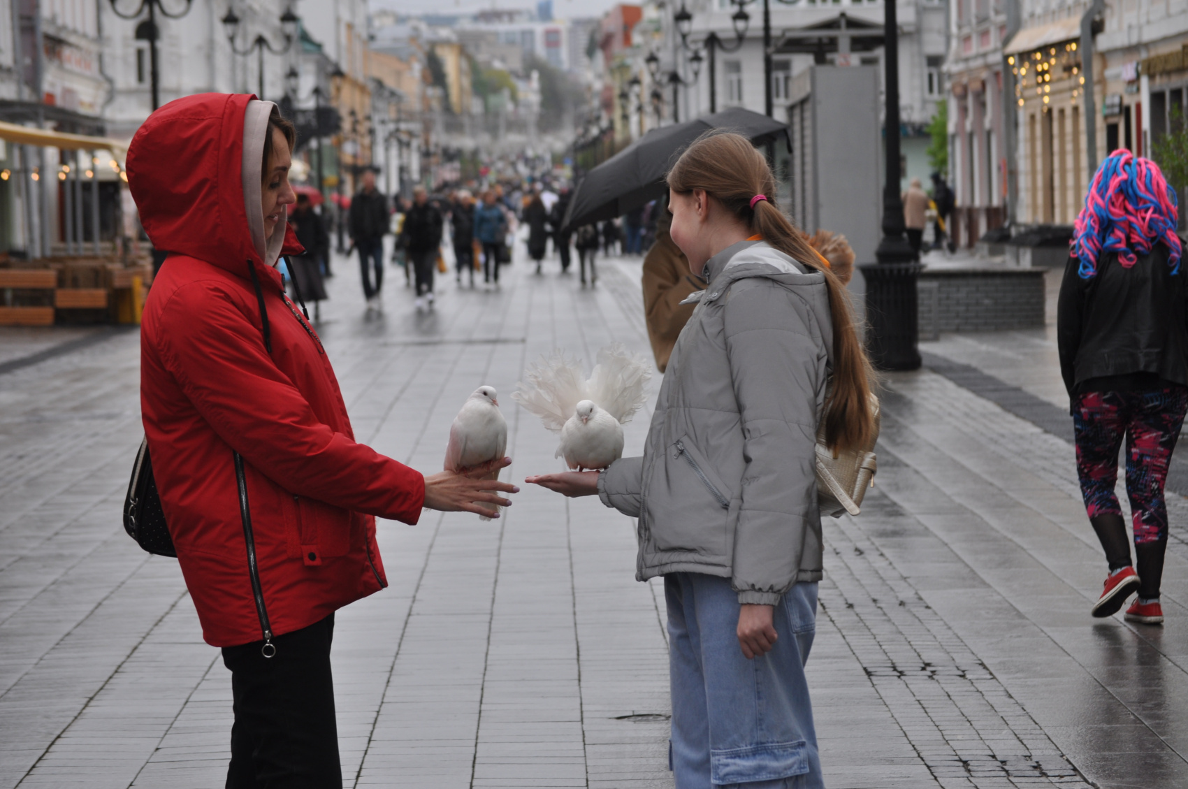 Неожиданный Нижний Новгород. Тур на выходные с фотографом (59/64)