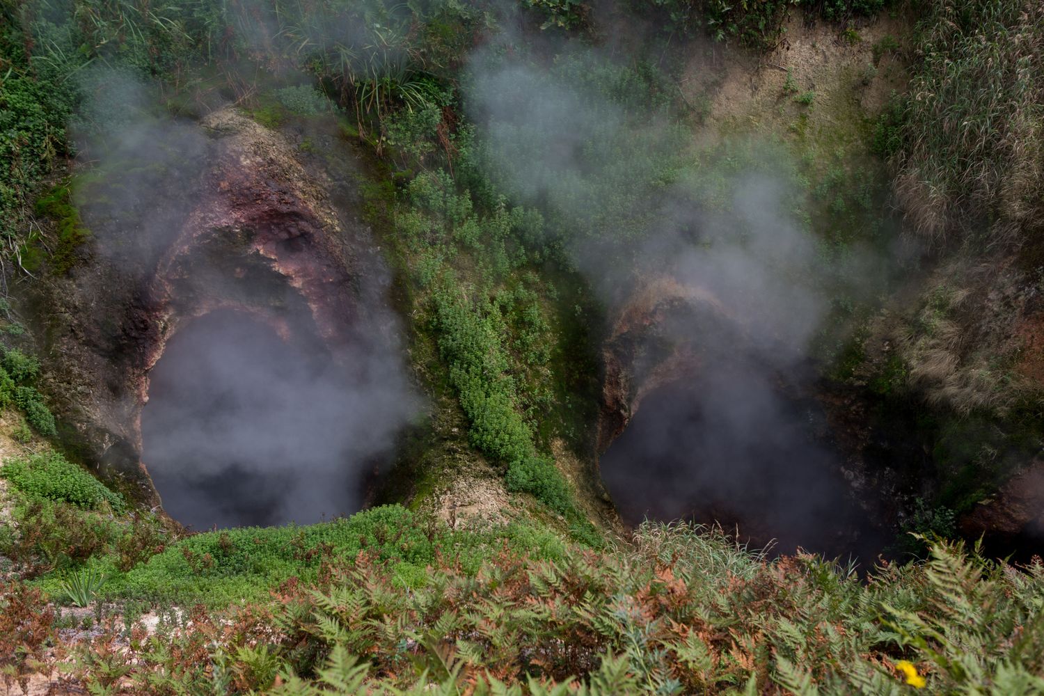 Открытие Камчатки за 10 дней (8/39)