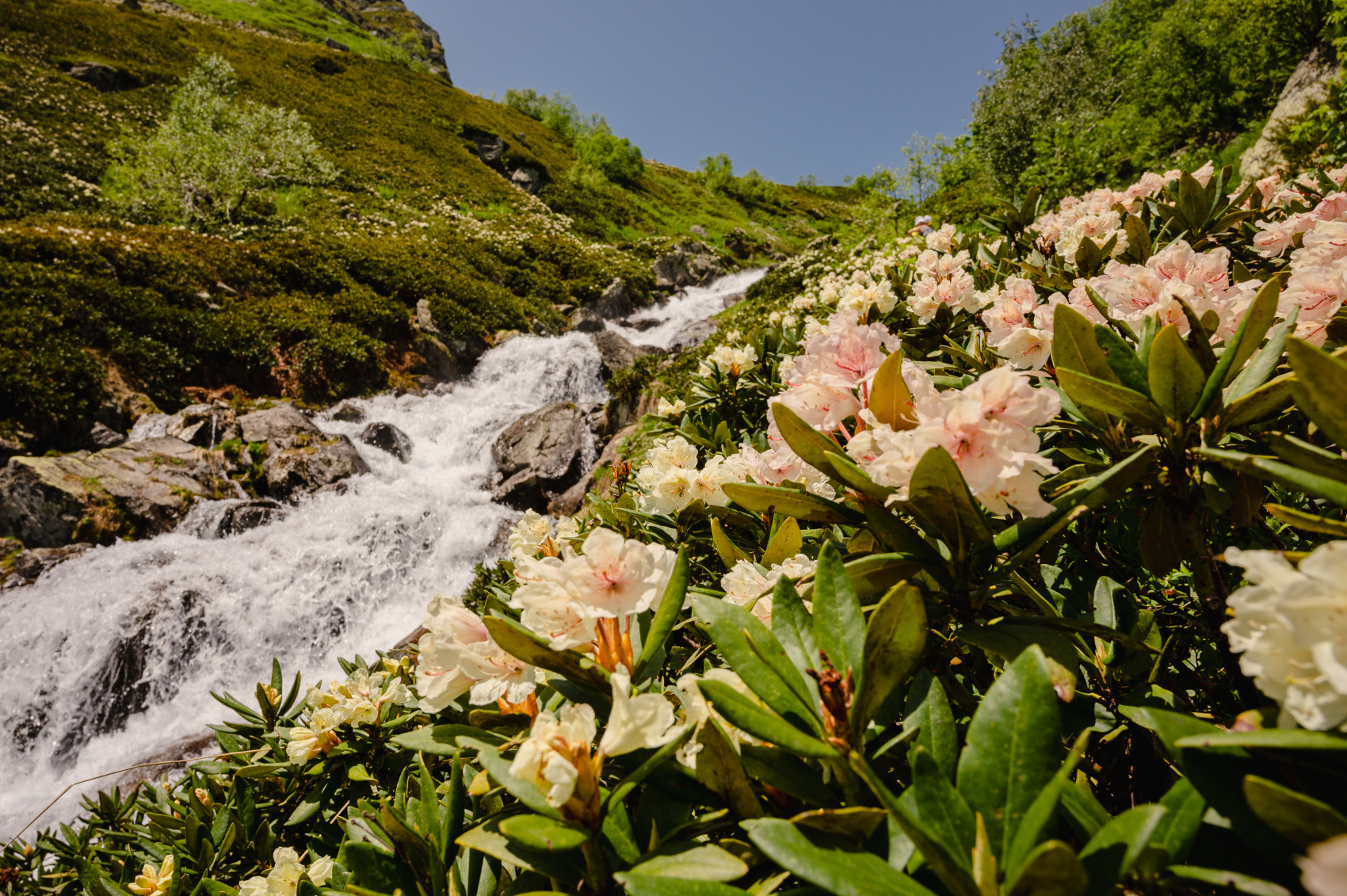 Трекинг тур Озера Архыза с гостиницей (18/22)