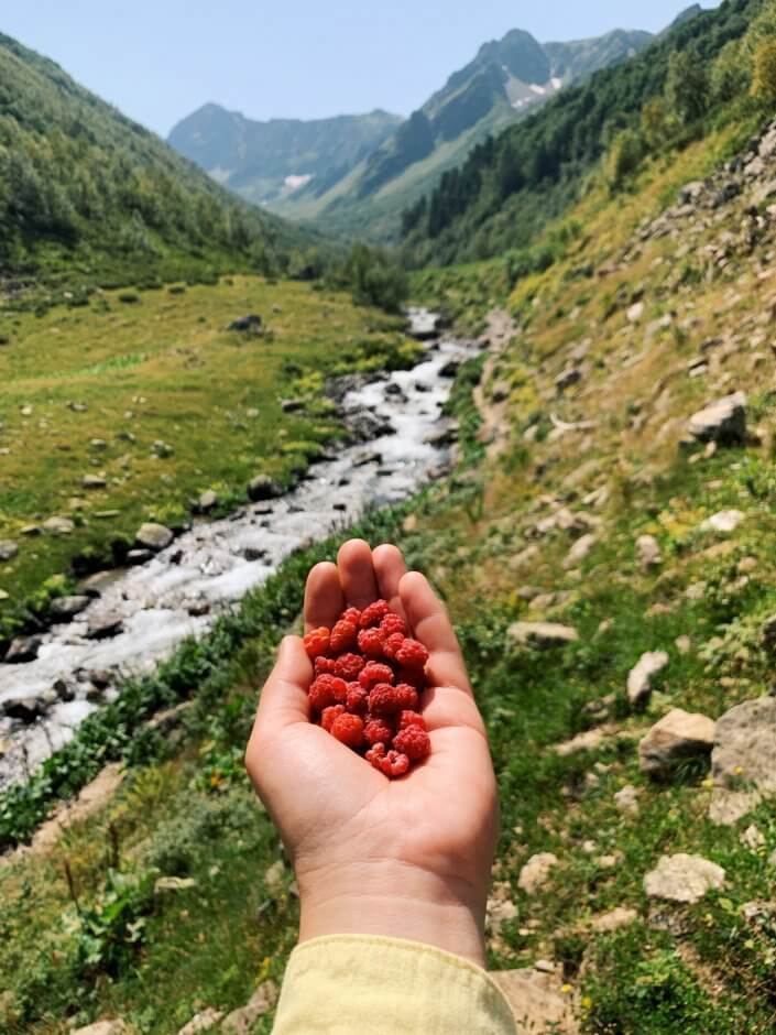 Трекинг тур Озера Архыза с гостиницей (4/22)