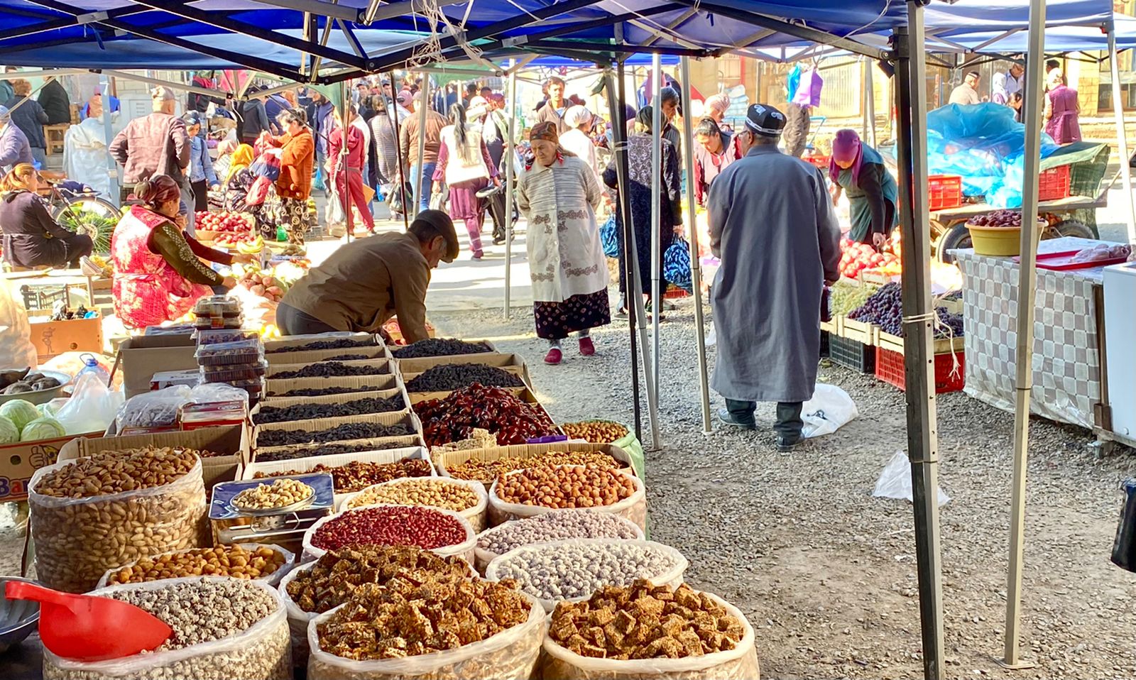 Три жемчужины Востока - Самарканд, Бухара и Хива! (6/35)
