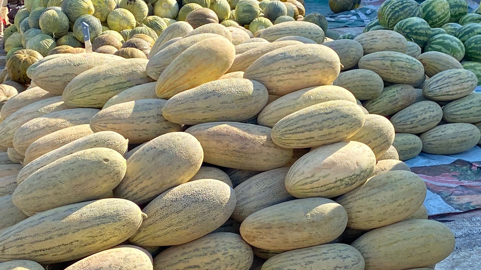 Три жемчужины Востока - Самарканд, Бухара и Хива! (7/35)