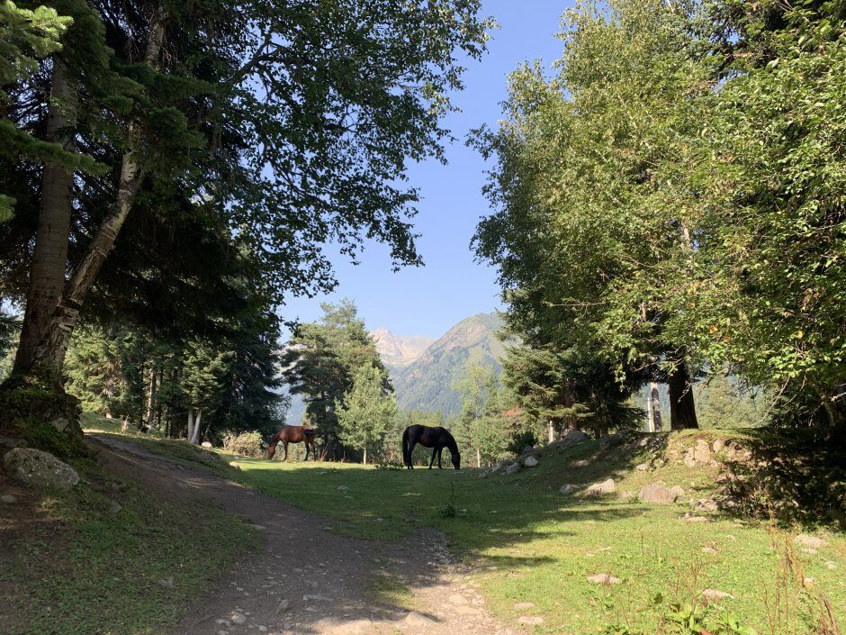 Поход без рюкзаков Озера Архыза (15/42)