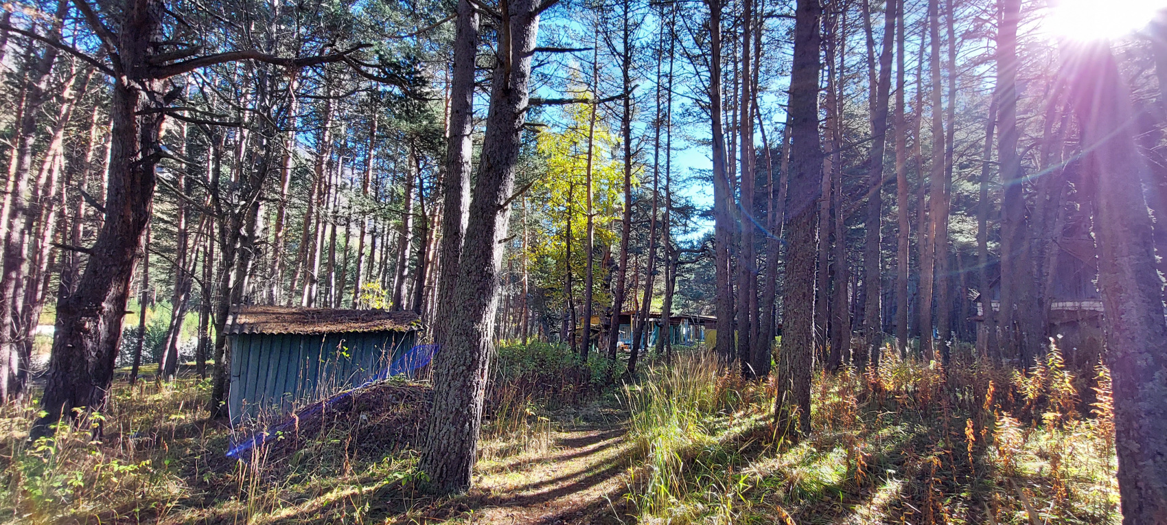 Треккинг в Чегемском ущелье. Приэльбрусье (27/78)