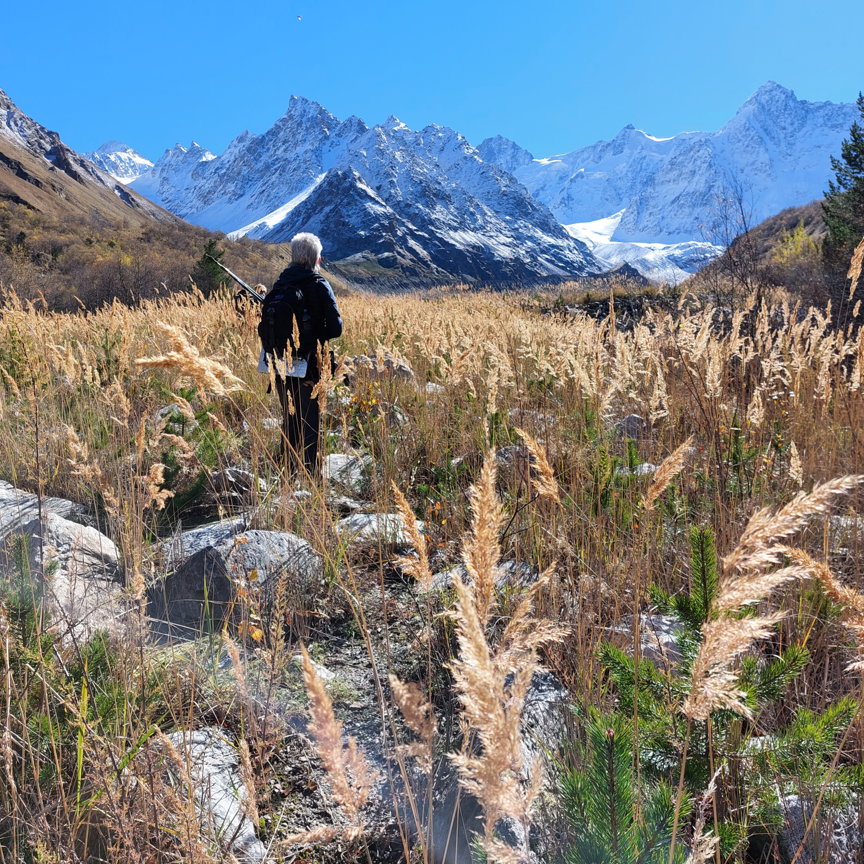 Треккинг в Чегемском ущелье. Приэльбрусье (38/78)