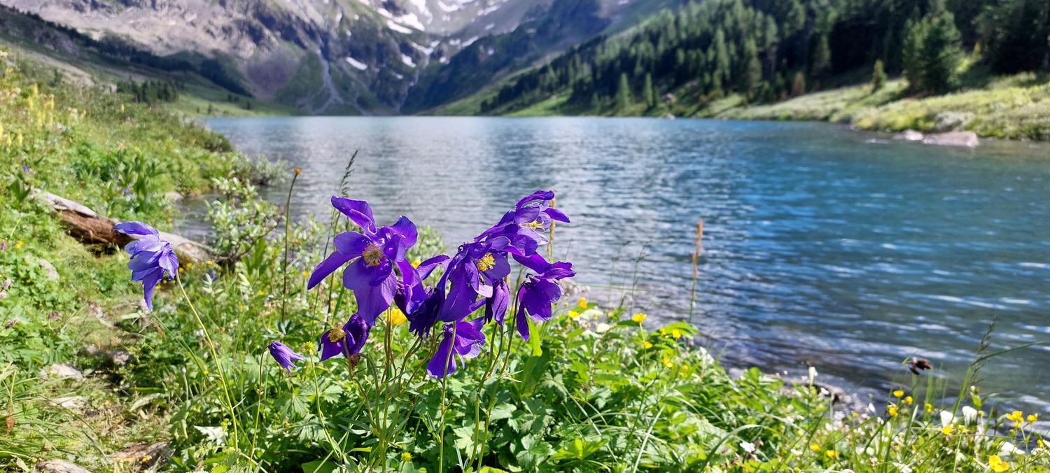 Горный лагерь на Алтае. Путешествие налегке к Мультинским озерам (7/64)