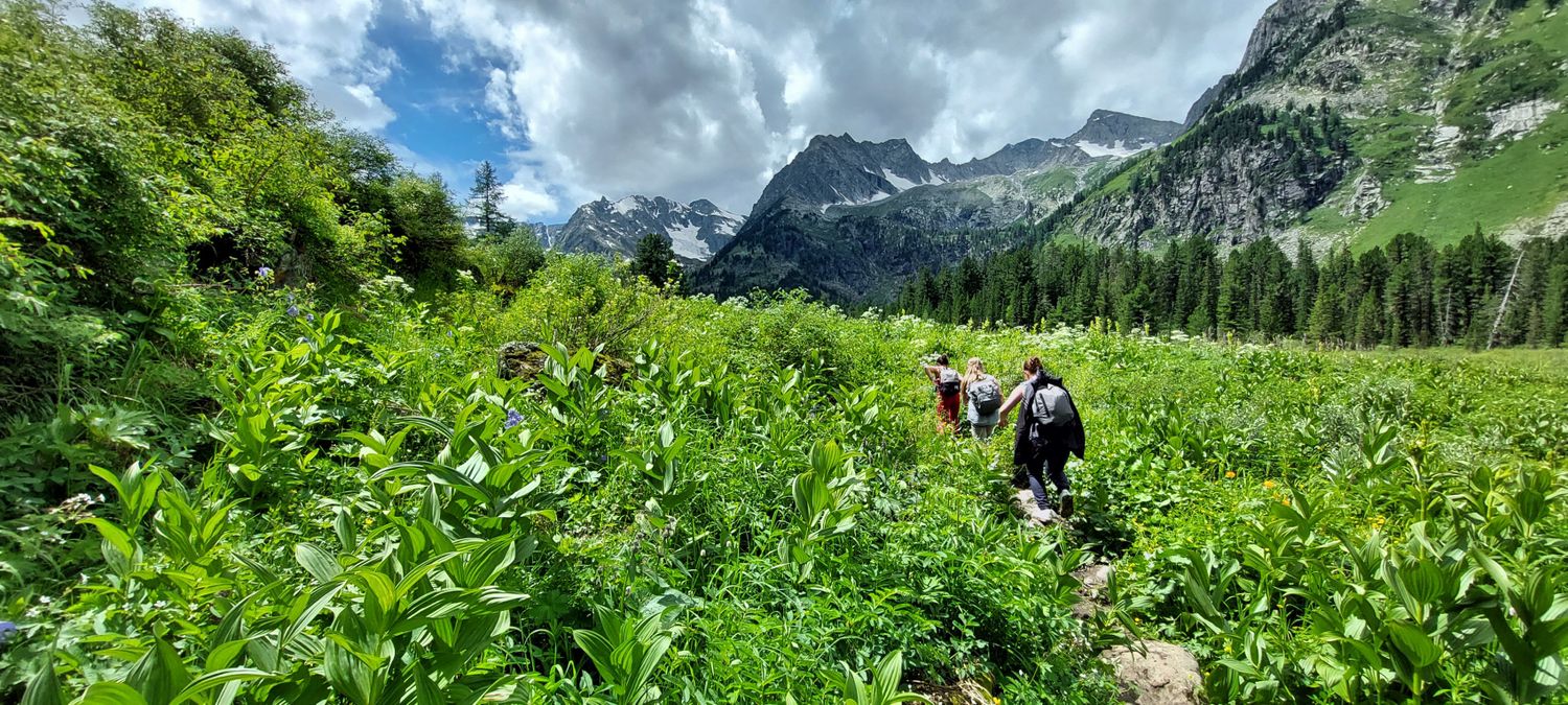Горный лагерь на Алтае. Путешествие налегке к Мультинским озерам (13/64)