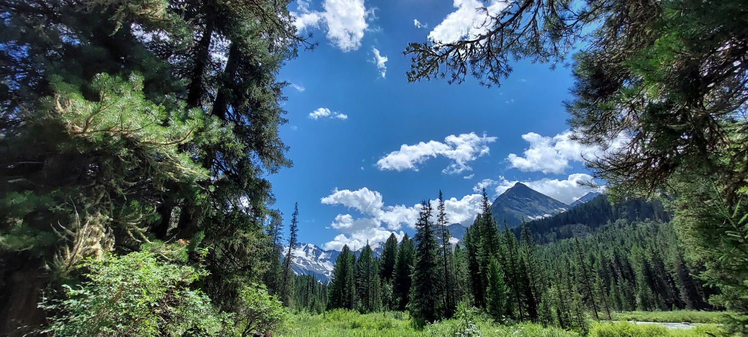 Горный лагерь на Алтае. Путешествие налегке к Мультинским озерам (14/64)