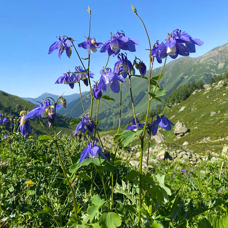 Архыз Pro. Треккинг по горным озёрам (36/59)
