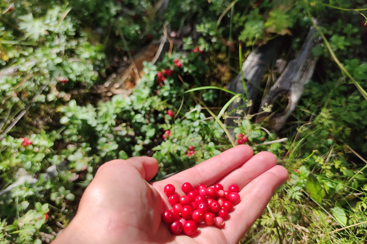 Архыз Pro. Треккинг по горным озёрам (29/59)