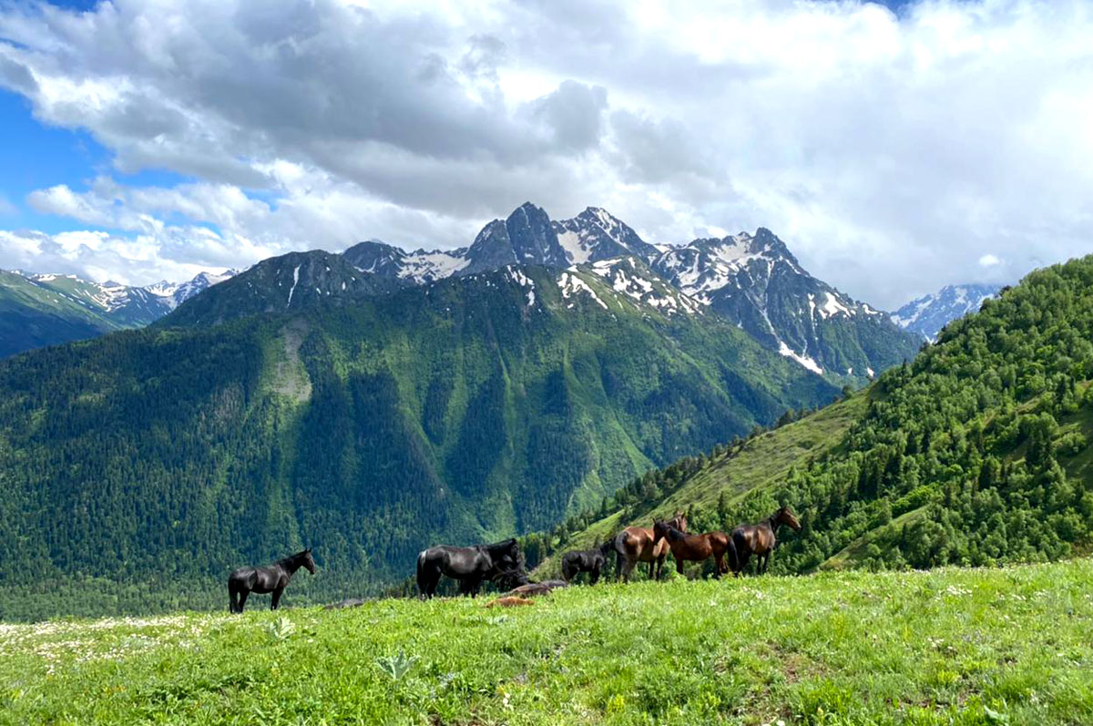 Горный лагерь в Архызе Про. 10 горных озер (10/48)