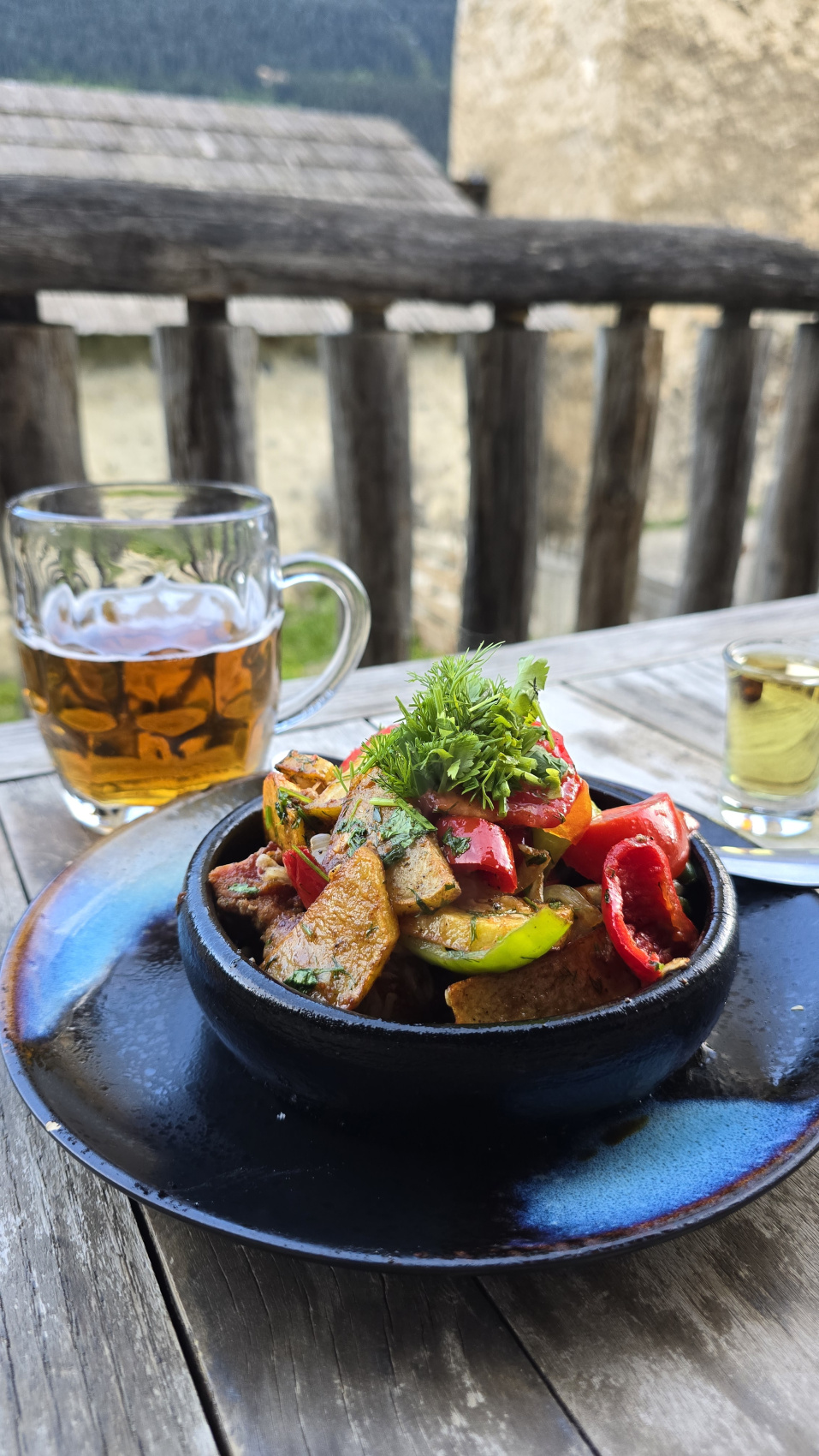 Гранд-путешествие по Грузии: 14 дней открытий с местными жителями, от гор до моря (24/57)