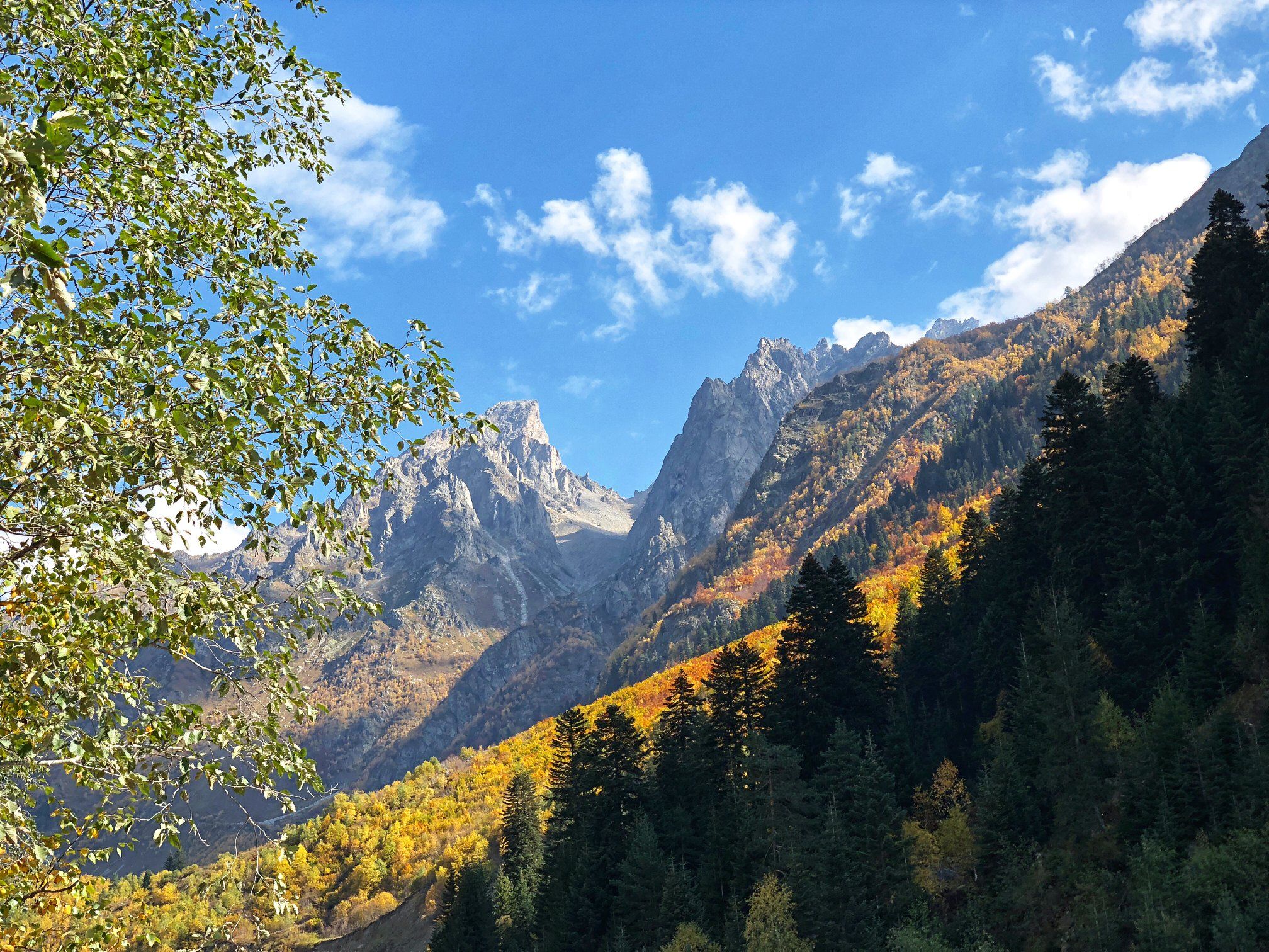 Сказка о Грузии - Весна, Лето, Осень (41/105)