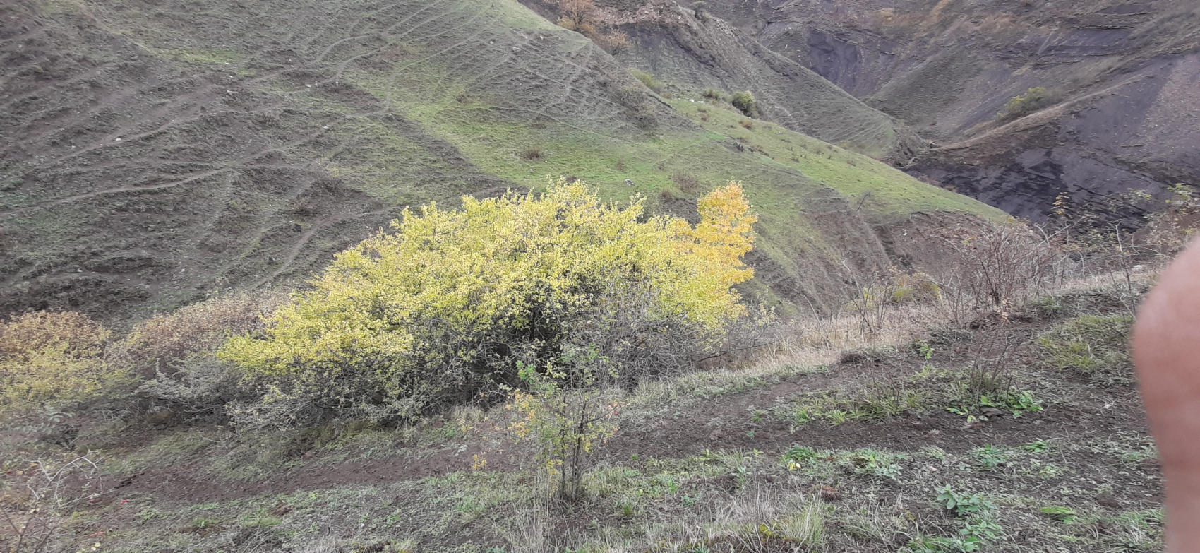 Восхождение на Гитиндаг (8/12)