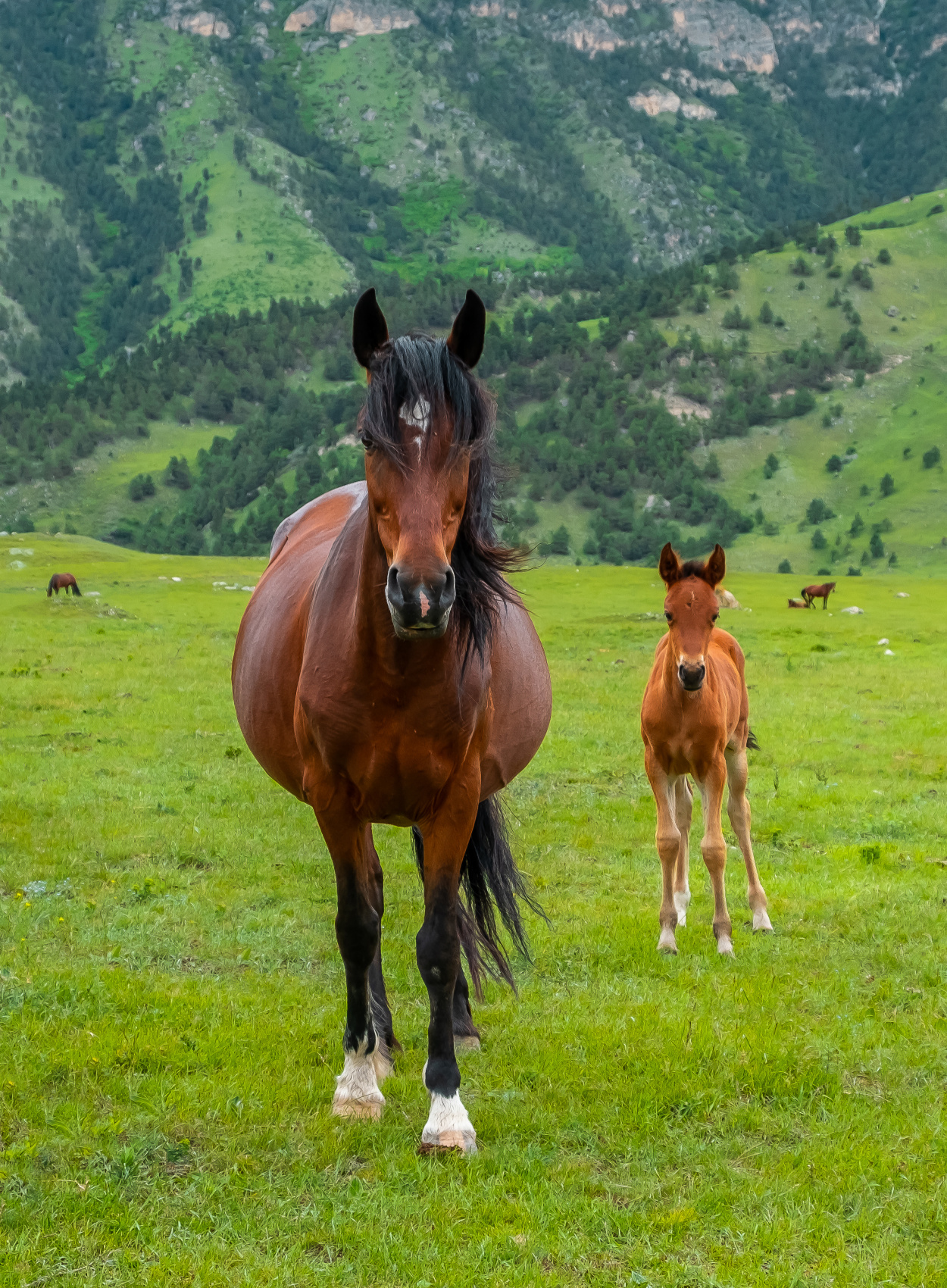 Экскурсионно-термальный тур на Кавказ! (Ингушетия-Осетия) (18/44)