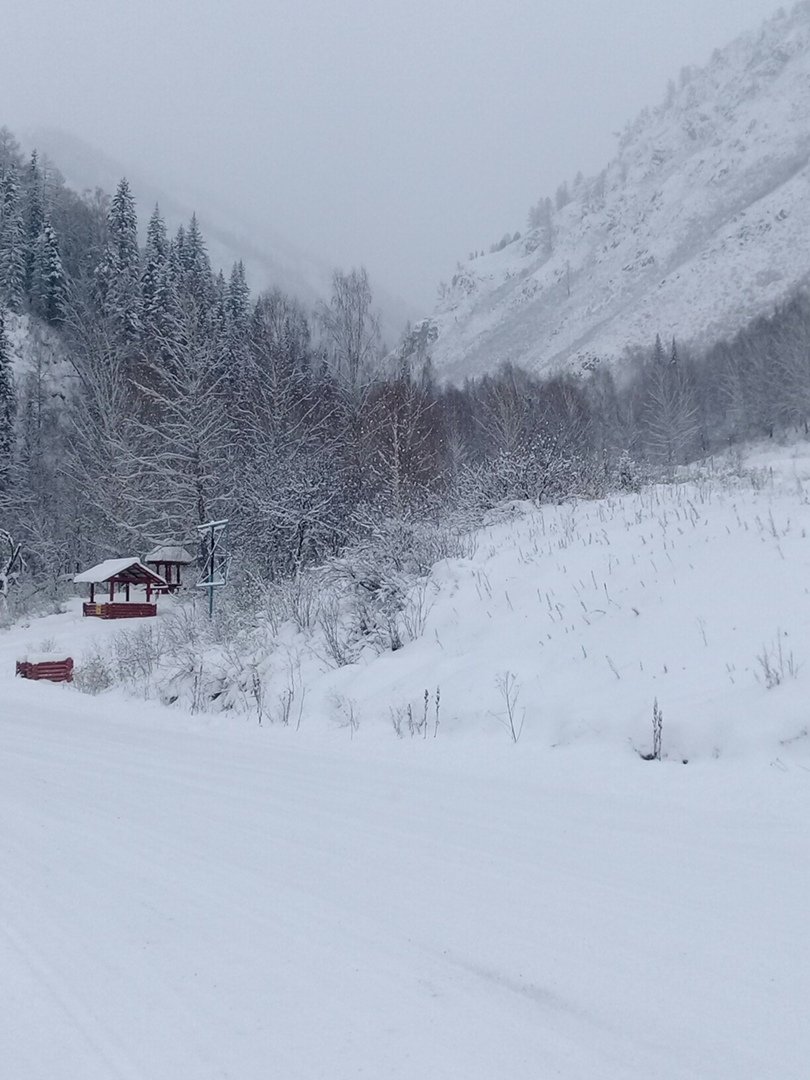 Сокровенный Алтай (14/23)