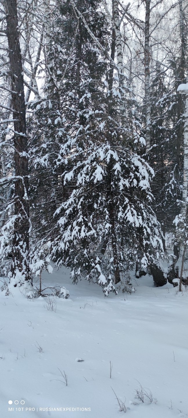 Сокровенный Алтай (9/23)