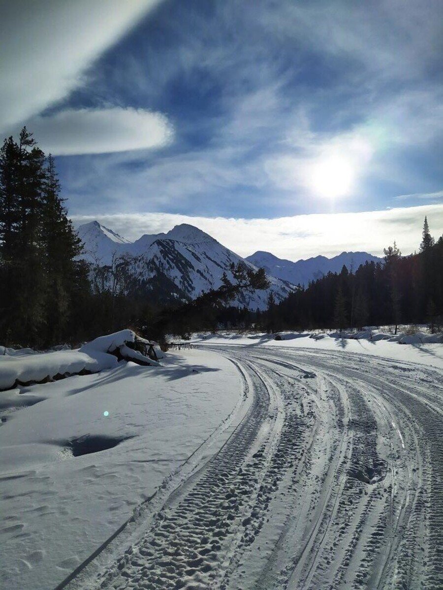 Сокровенный Алтай (2/23)