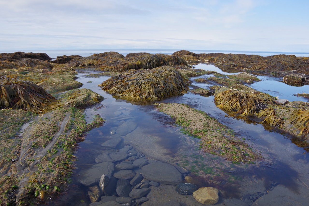 Зима на краю Земли (2/16)
