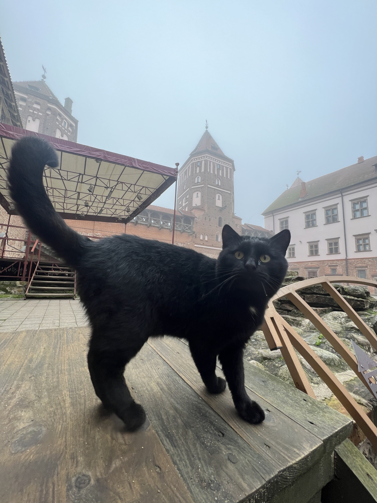 По замкам Беларуси (16/40)