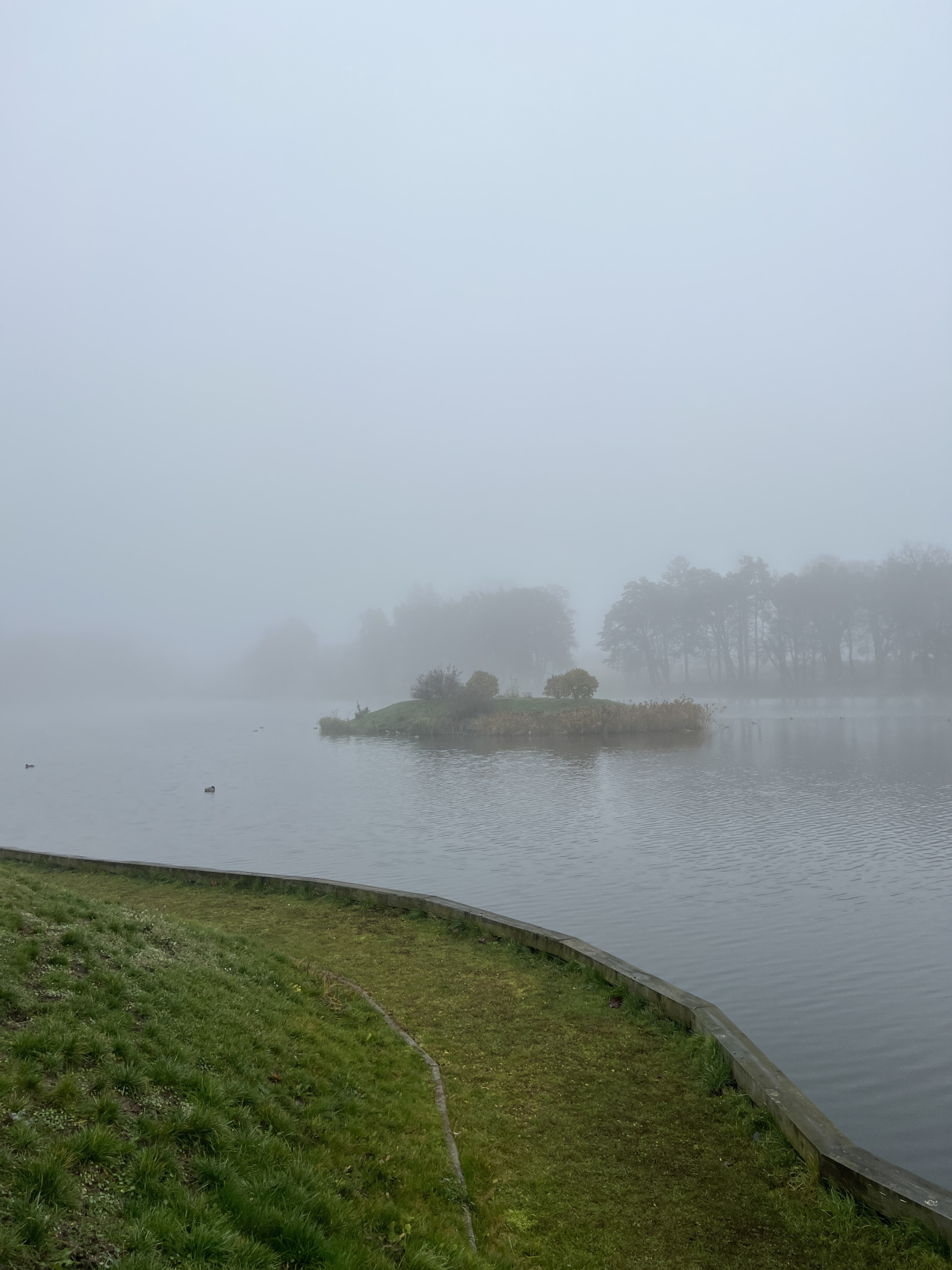 По замкам Беларуси (8/40)