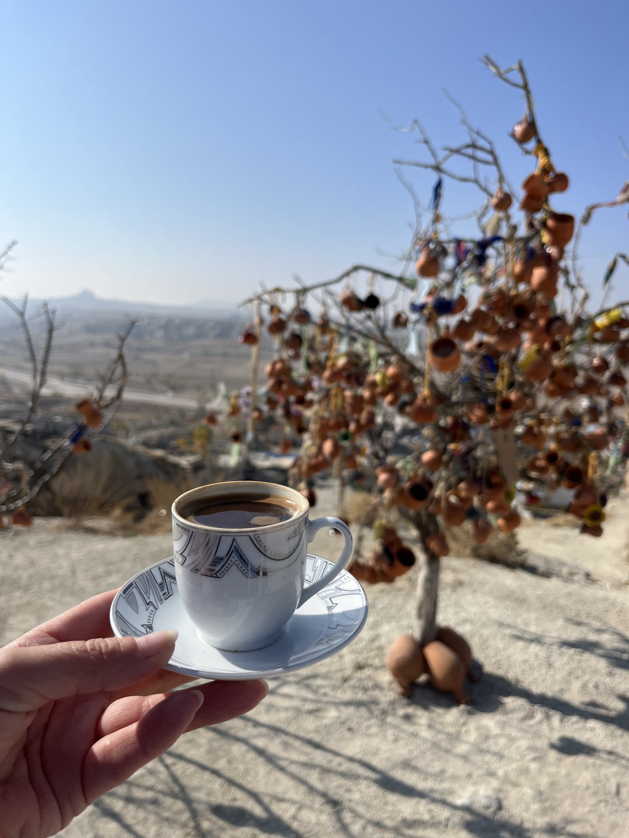 Каппадокия страна прекрасных лошадей (3/58)