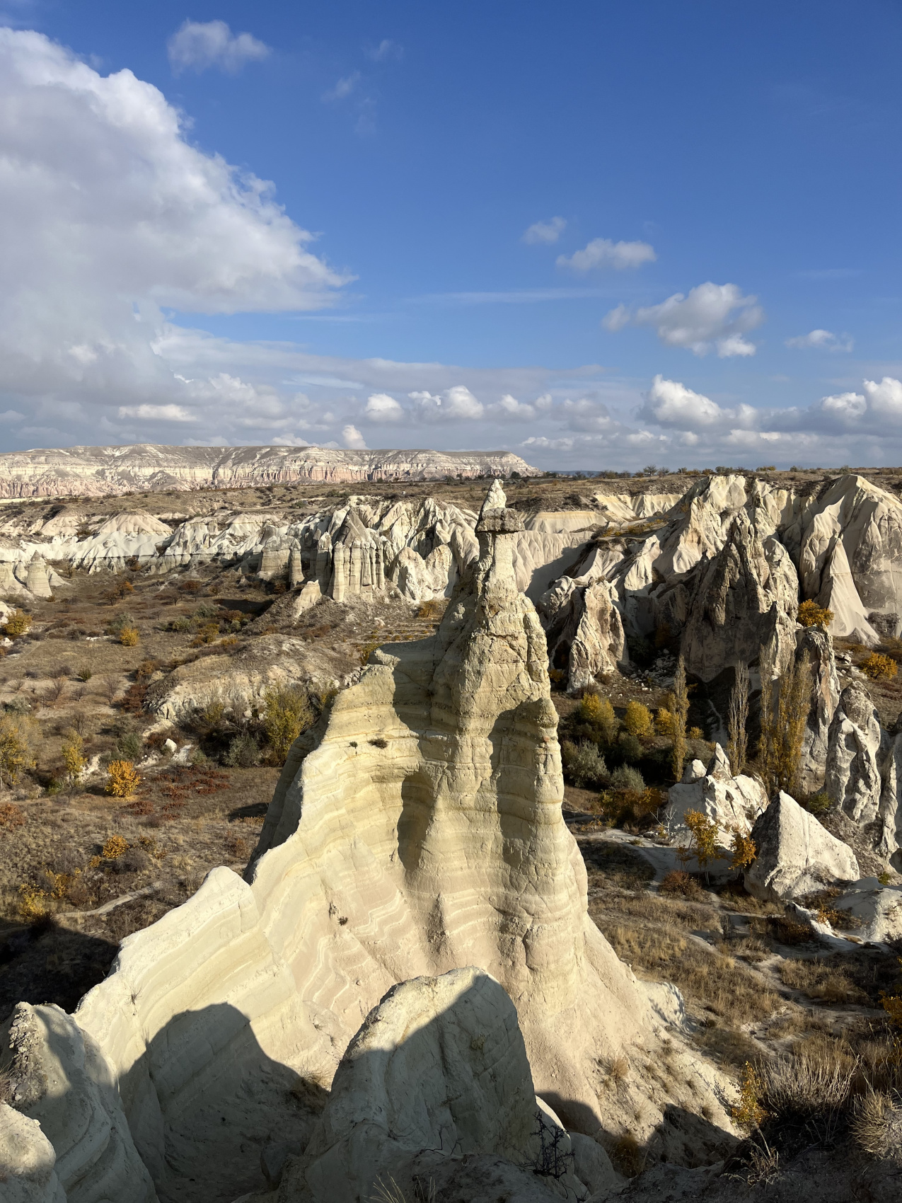 Каппадокия страна прекрасных лошадей (31/58)