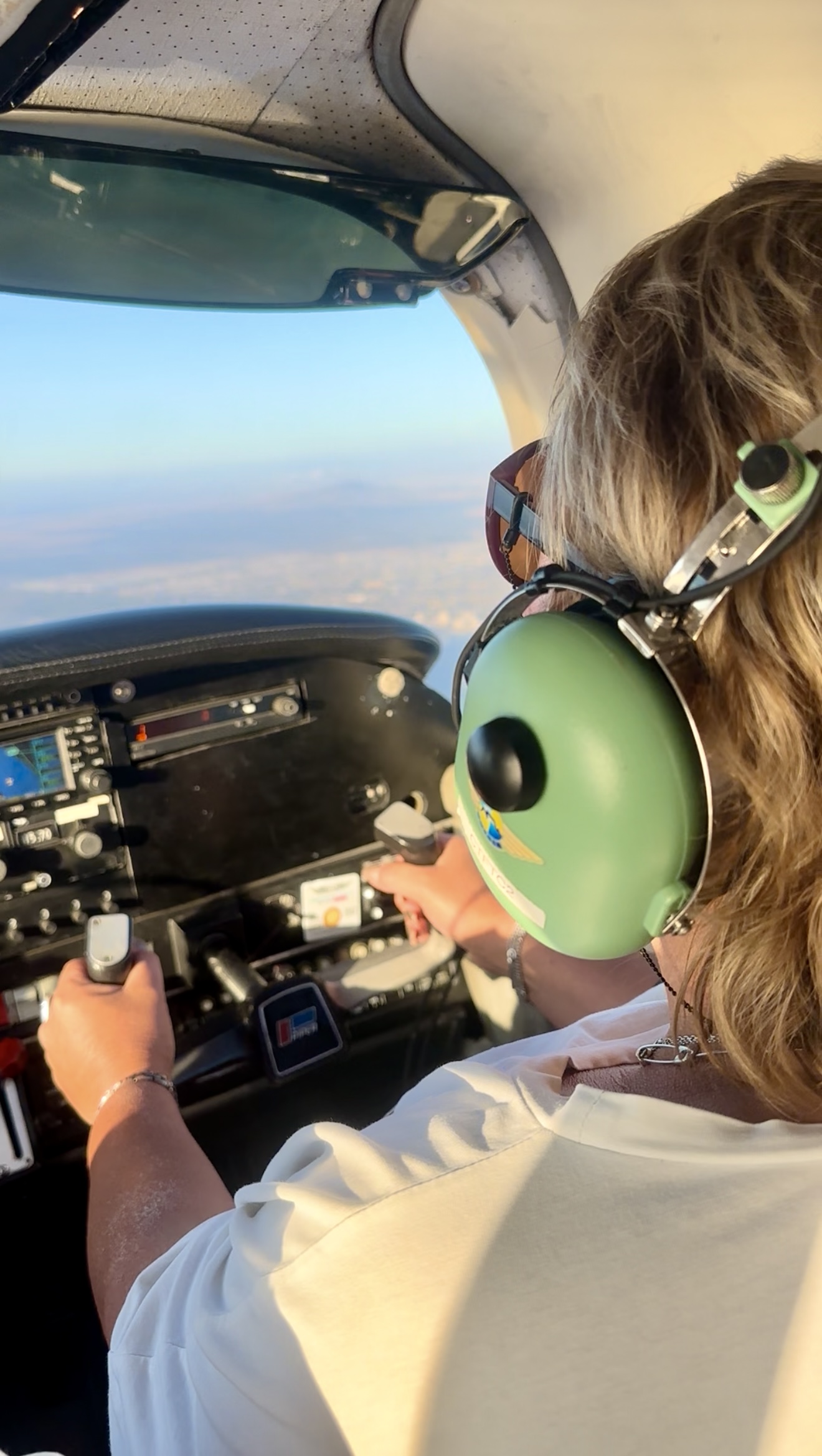 Юар-Большое Путешествие: пингвины, сафари и гепарды, вертолеты и вино (19/23)