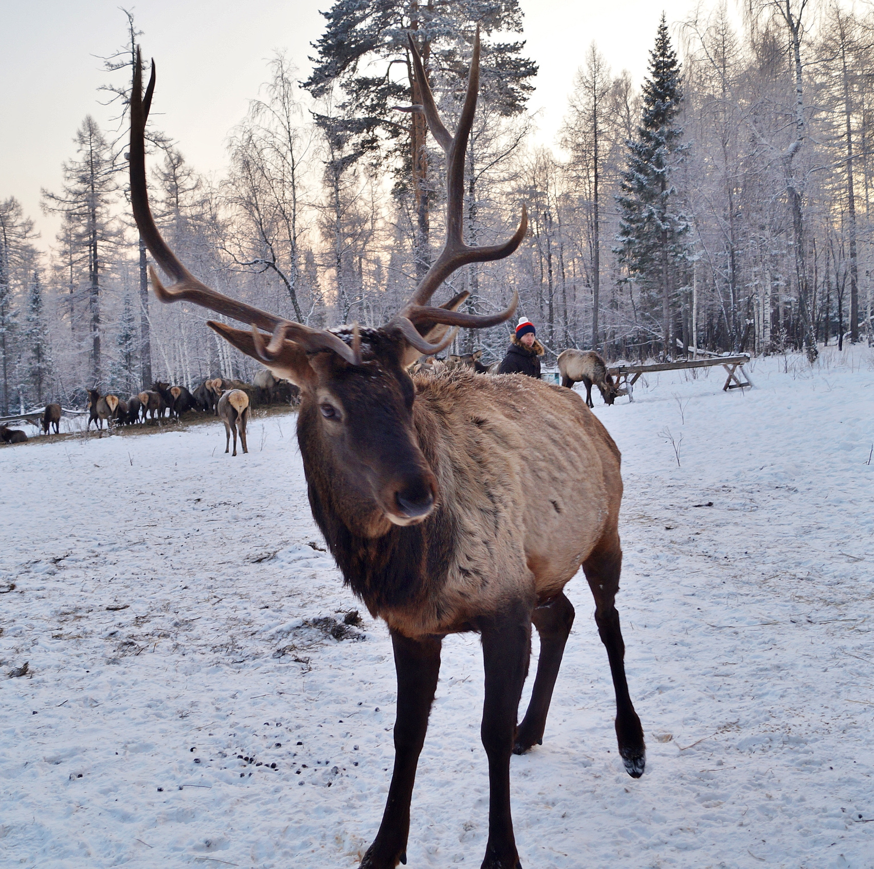 Обзорный тур по Южному Уралу 4 дня / 3 ночи (19/46)