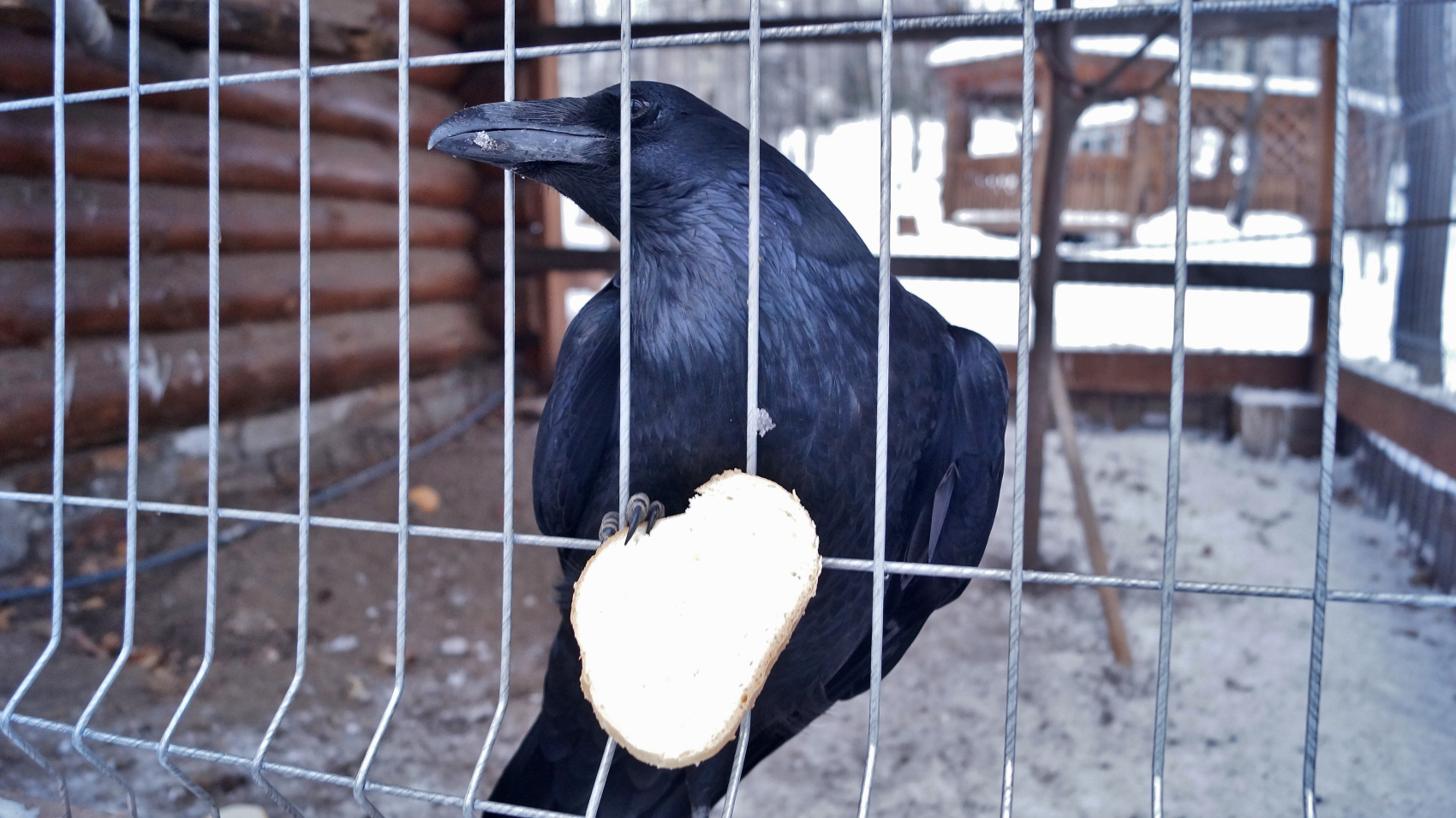 Обзорный тур по Южному Уралу 4 дня / 3 ночи (17/46)