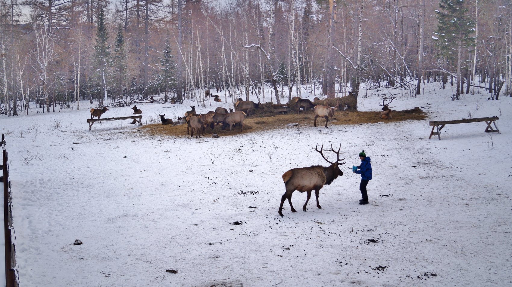 Обзорный тур по Южному Уралу 4 дня / 3 ночи (15/46)