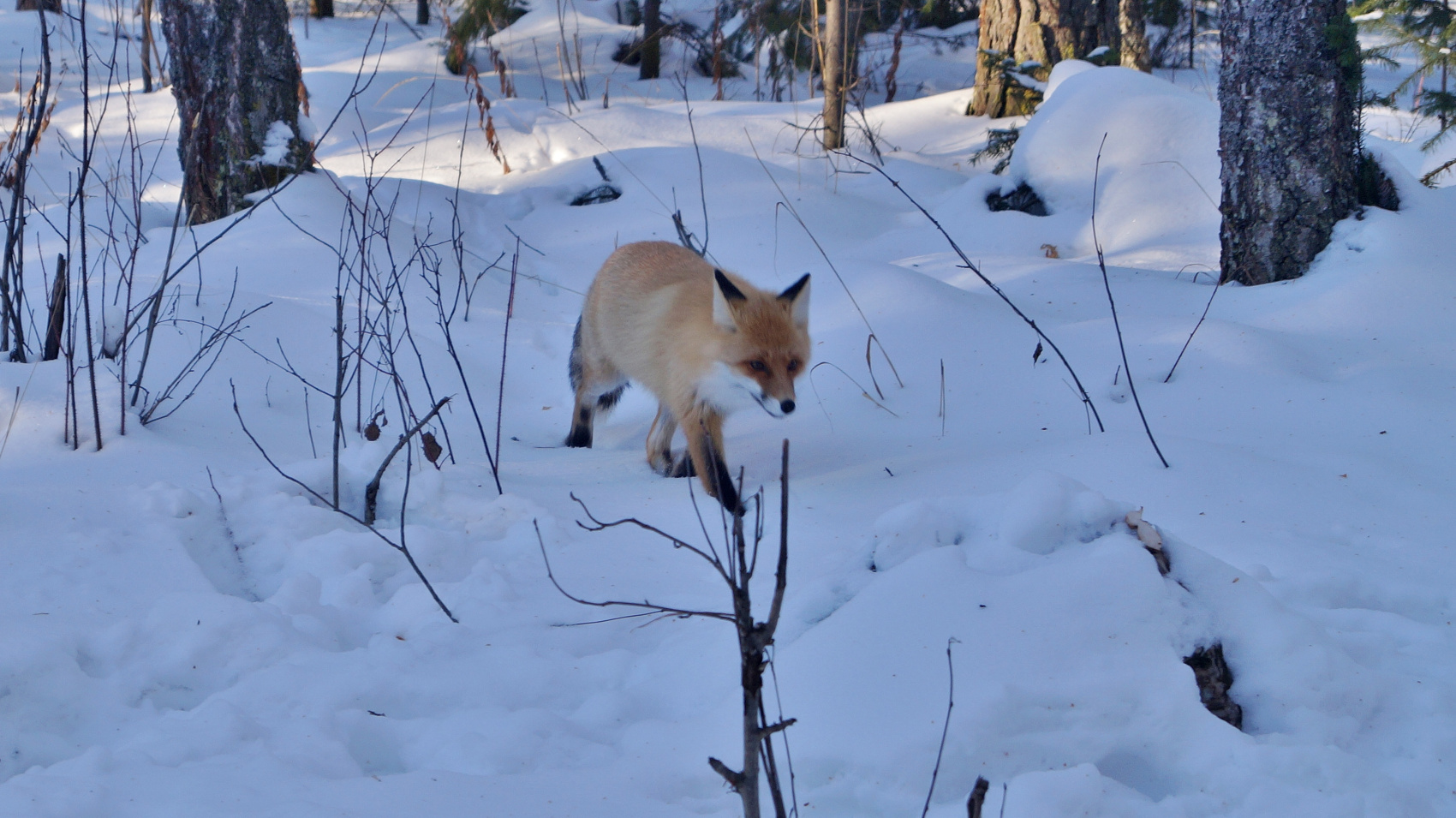 Обзорный тур по Южному Уралу 4 дня / 3 ночи (9/46)