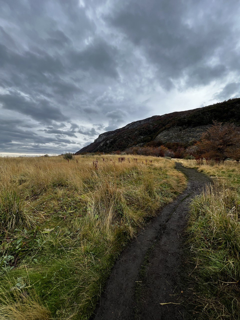 Австралия — страна свободы и приключений. 12 дней незабываемого путешествия (8/58)