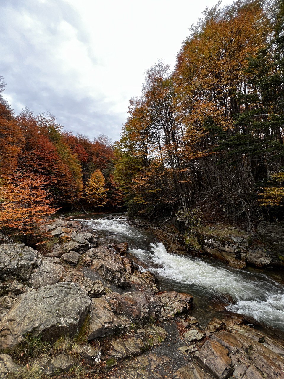 Австралия — страна свободы и приключений. 12 дней незабываемого путешествия (7/58)