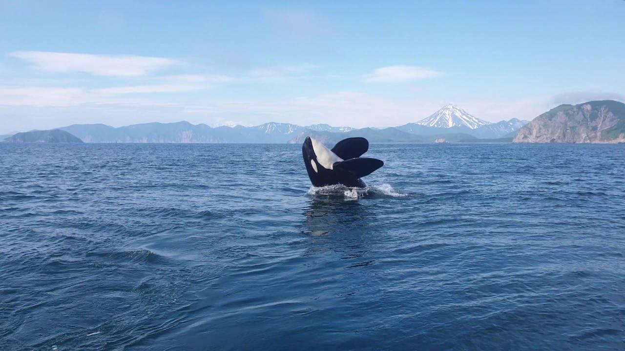 В гостях у Кутха (комбинированный тур на внедорожниках, без палаток) (2/25)