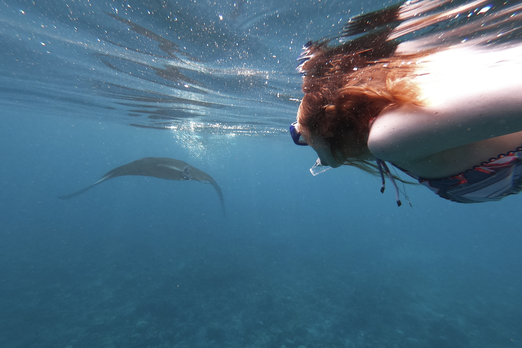 Прекрасный Йога-Тур На Мальдивы, Все Включено (остров Дигура) (14/41)