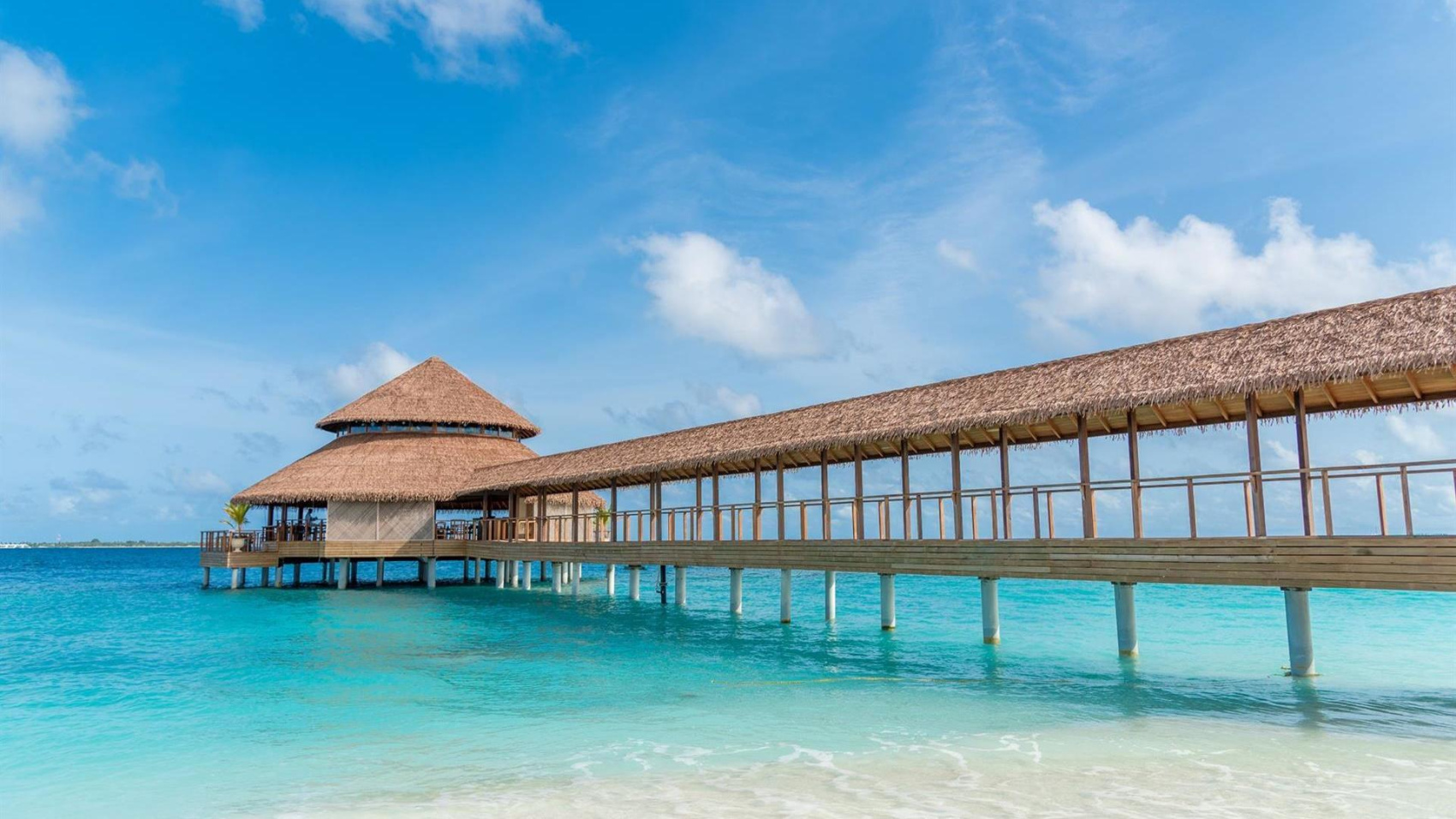 Прекрасный Йога-Тур На Мальдивы, Все Включено (остров Дигура) (18/41)