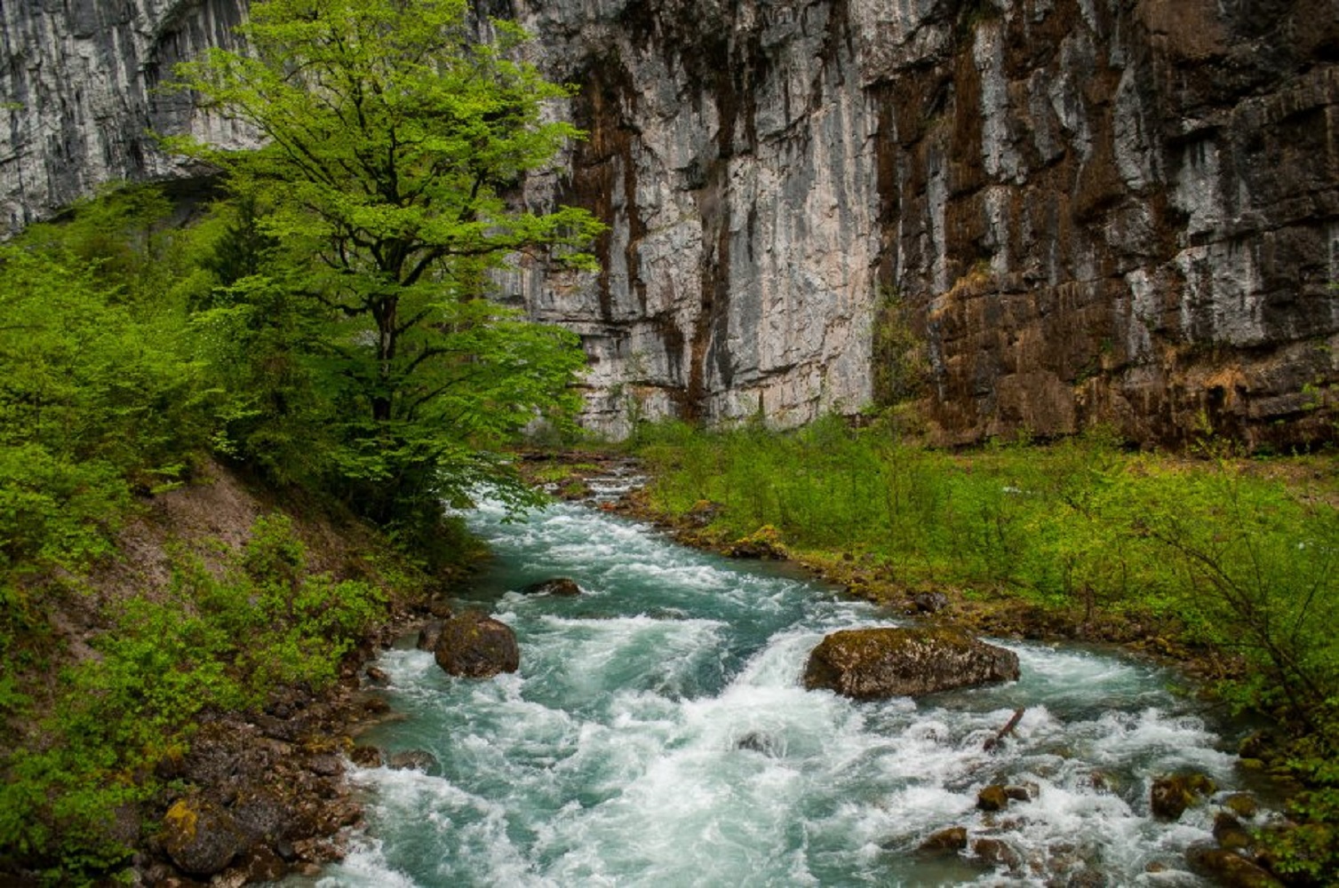 Абхазия за 3 дня! Все основные достопримечательности! (21/34)