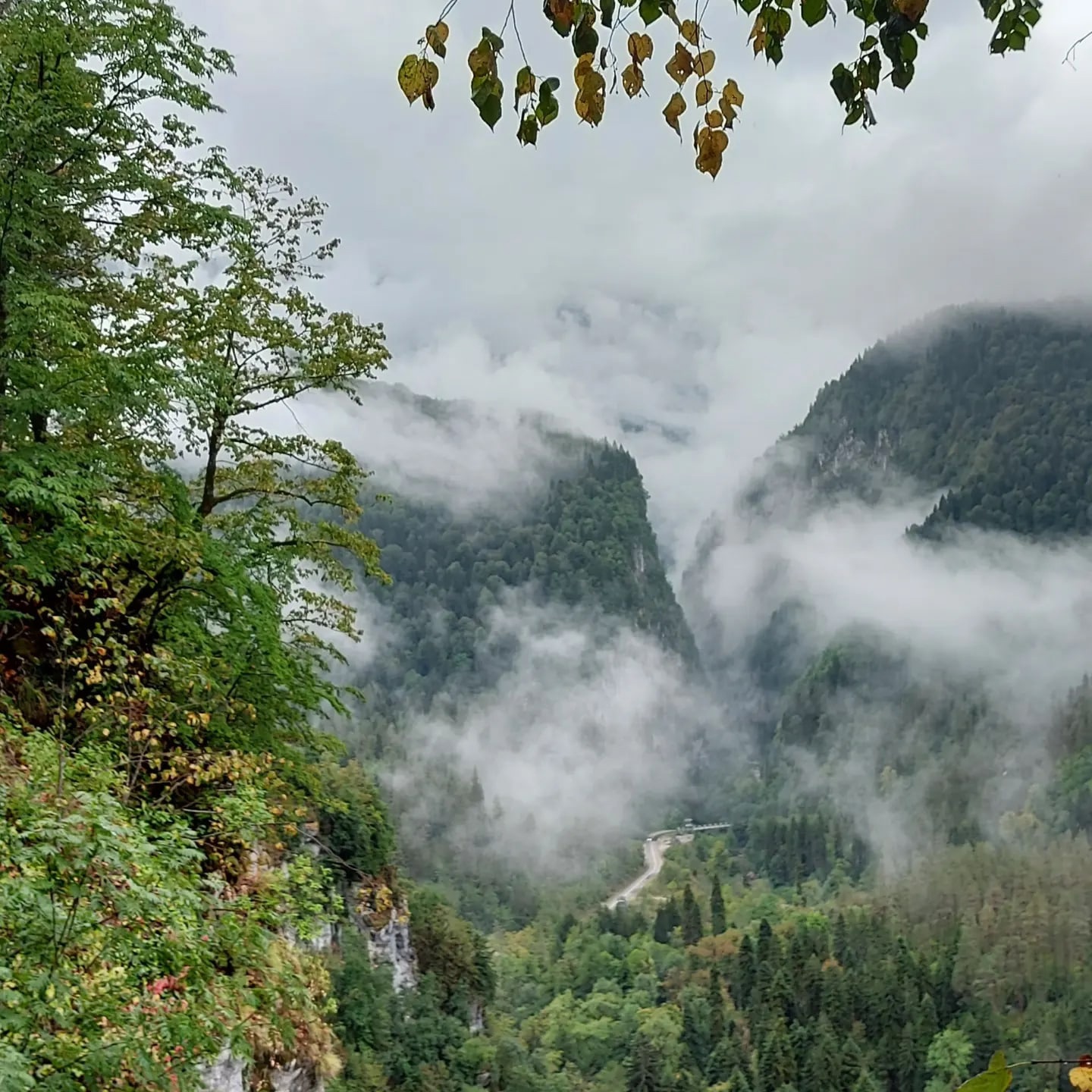 Абхазия за 3 дня! Все основные достопримечательности! (23/34)