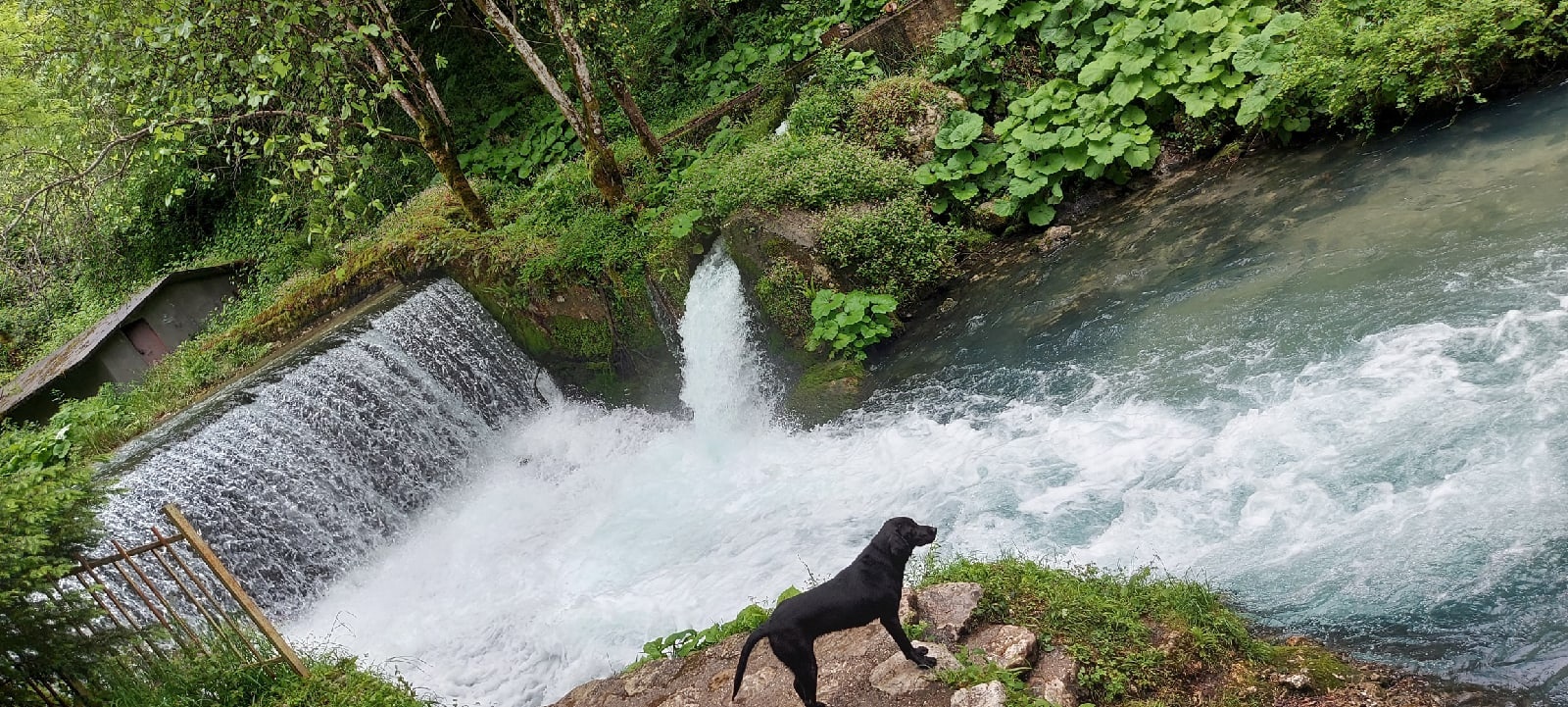 Абхазия за 3 дня! Все основные достопримечательности! (3/34)