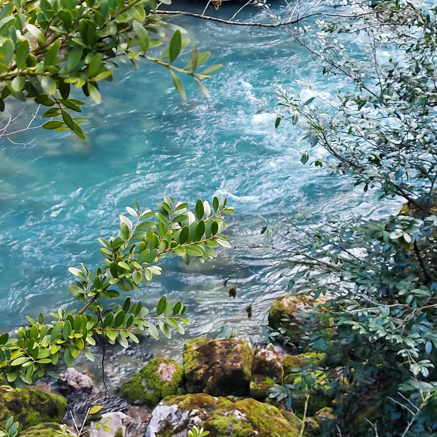 Абхазия - запад и восток за 3 дня! (9/23)