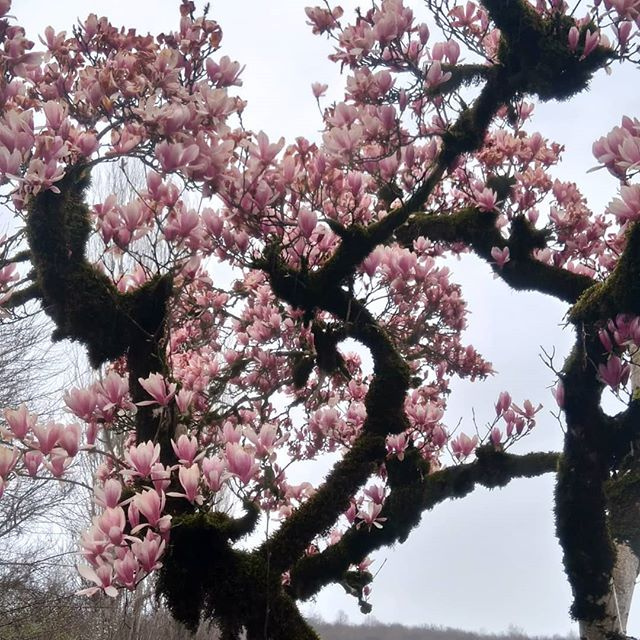 Абхазия за 3 дня! Все основные достопримечательности! (12/34)